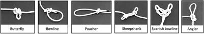 The Proactive Synergy Between Action Observation and Execution in the Acquisition of New Motor Skills